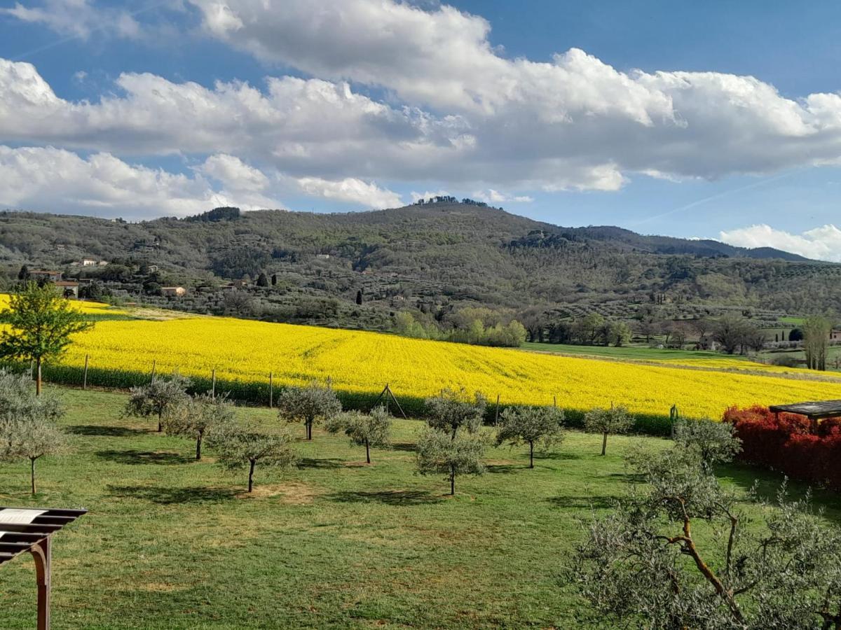 Podere Molinaccio Panicale Eksteriør billede
