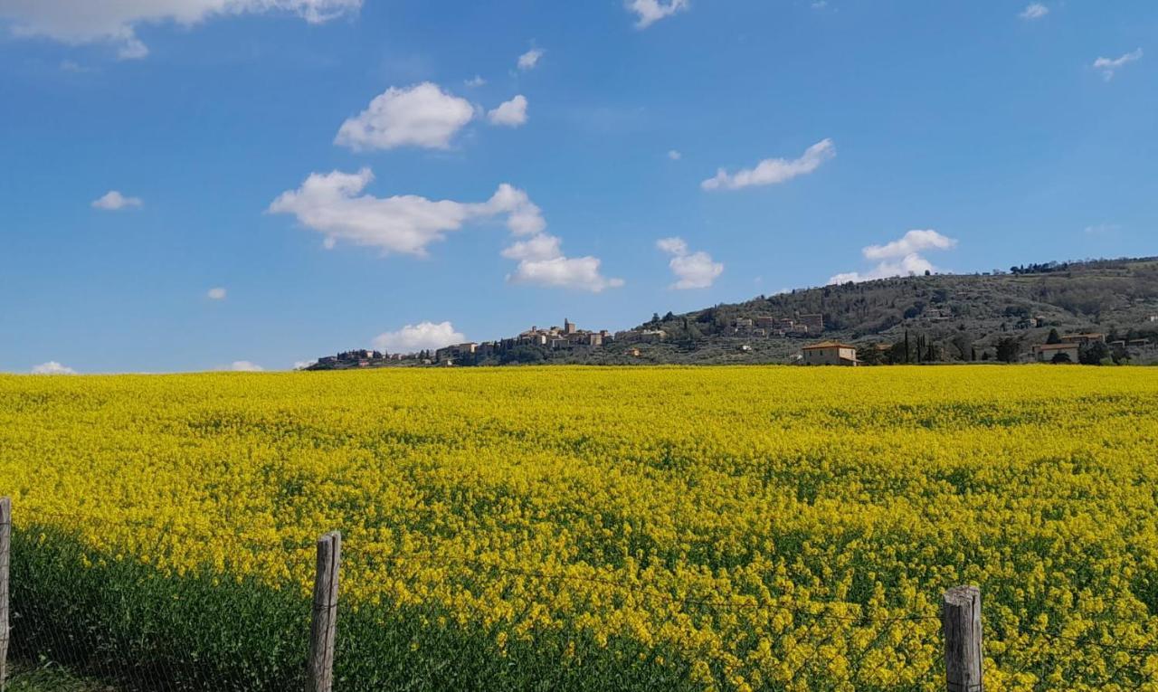 Podere Molinaccio Panicale Eksteriør billede