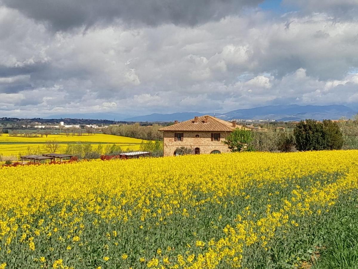 Podere Molinaccio Panicale Eksteriør billede