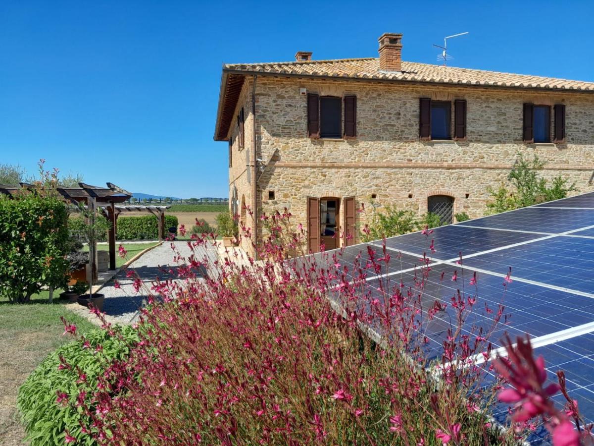 Podere Molinaccio Panicale Eksteriør billede