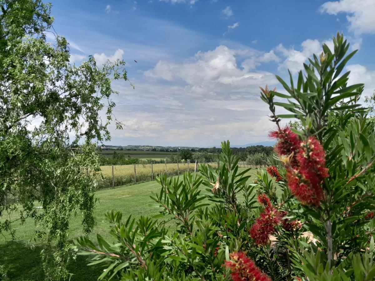 Podere Molinaccio Panicale Eksteriør billede