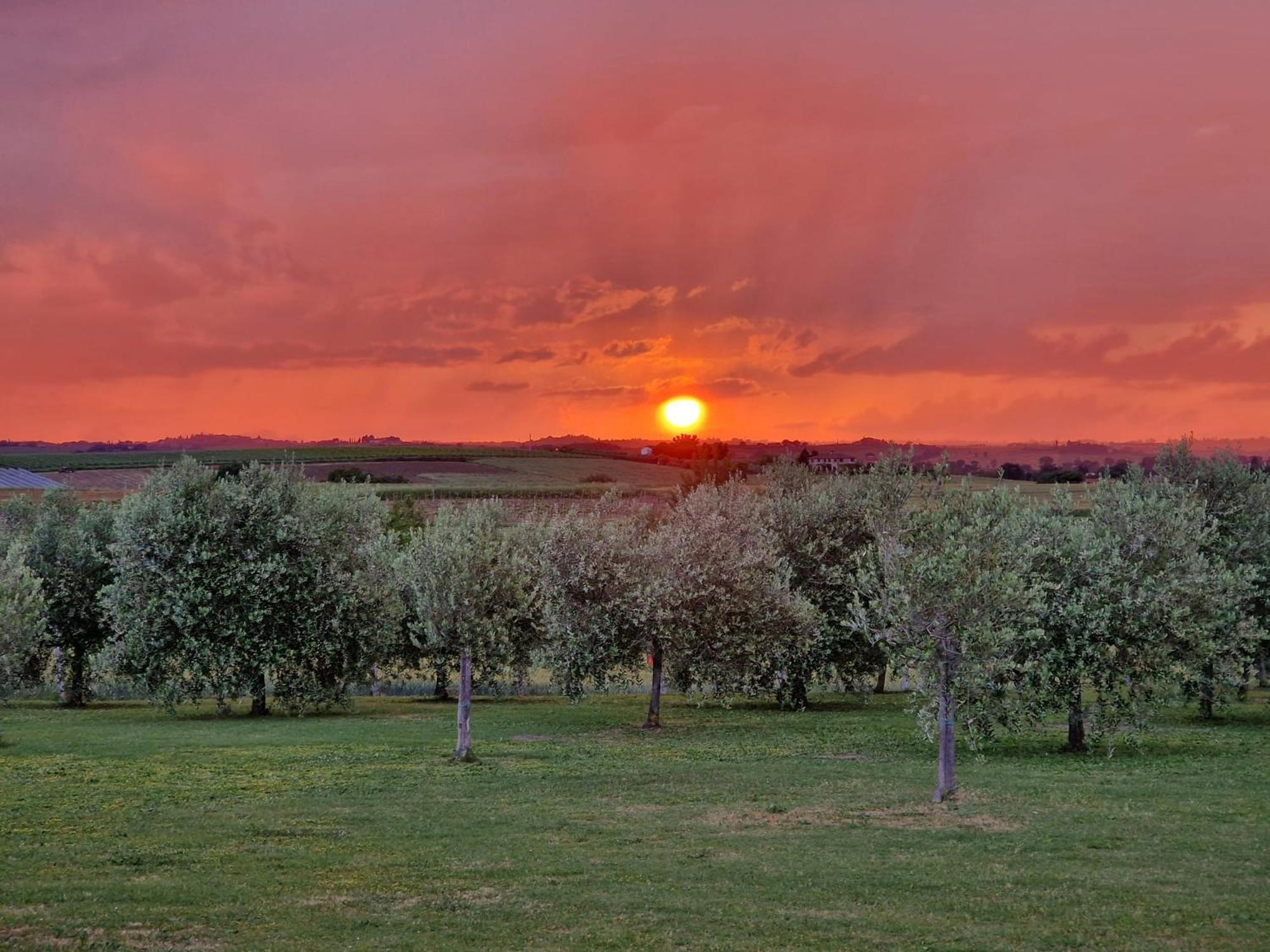 Podere Molinaccio Panicale Eksteriør billede