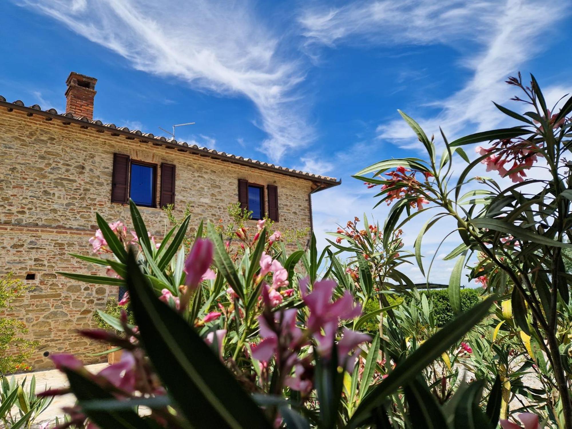 Podere Molinaccio Panicale Eksteriør billede