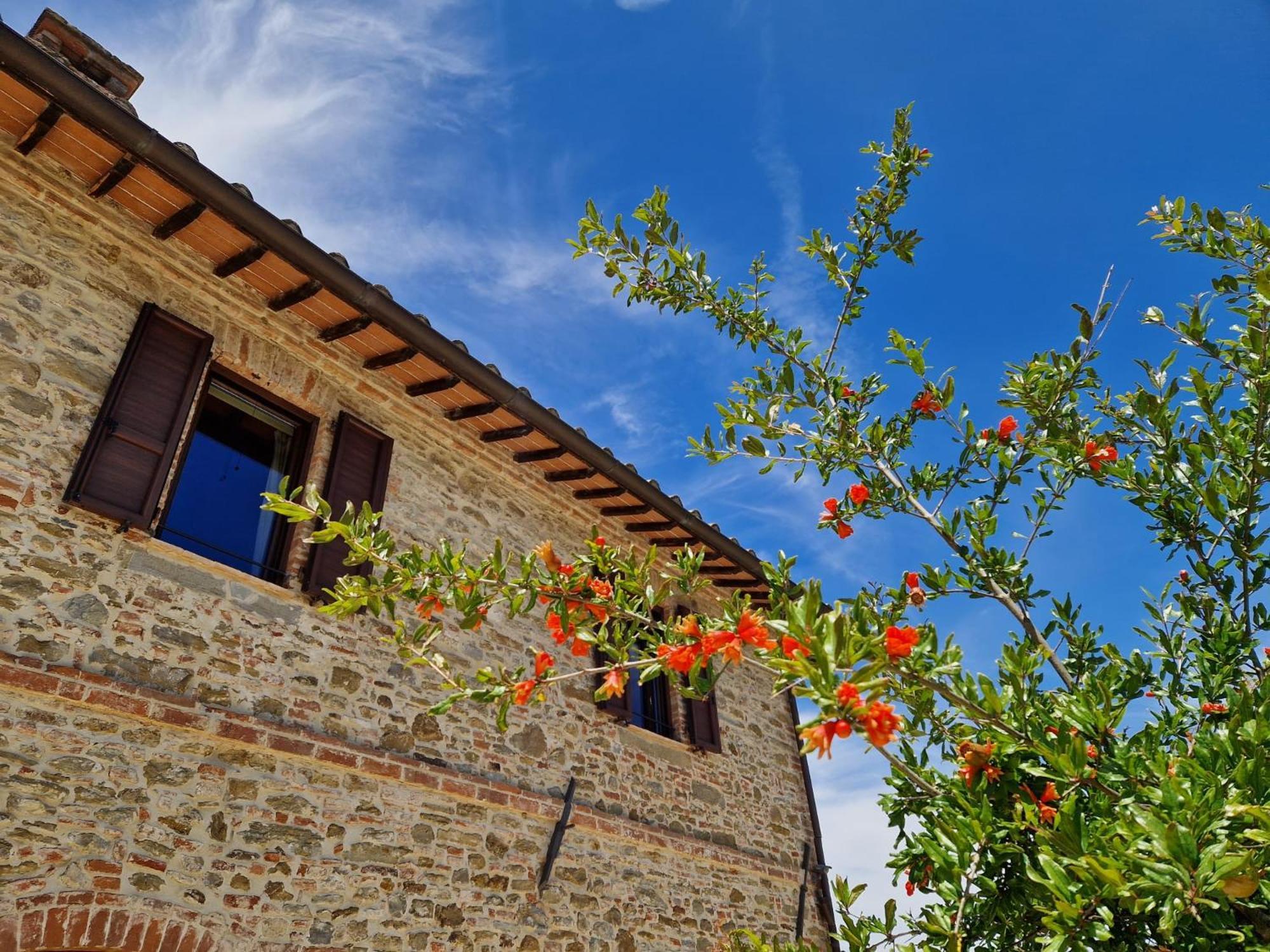 Podere Molinaccio Panicale Eksteriør billede